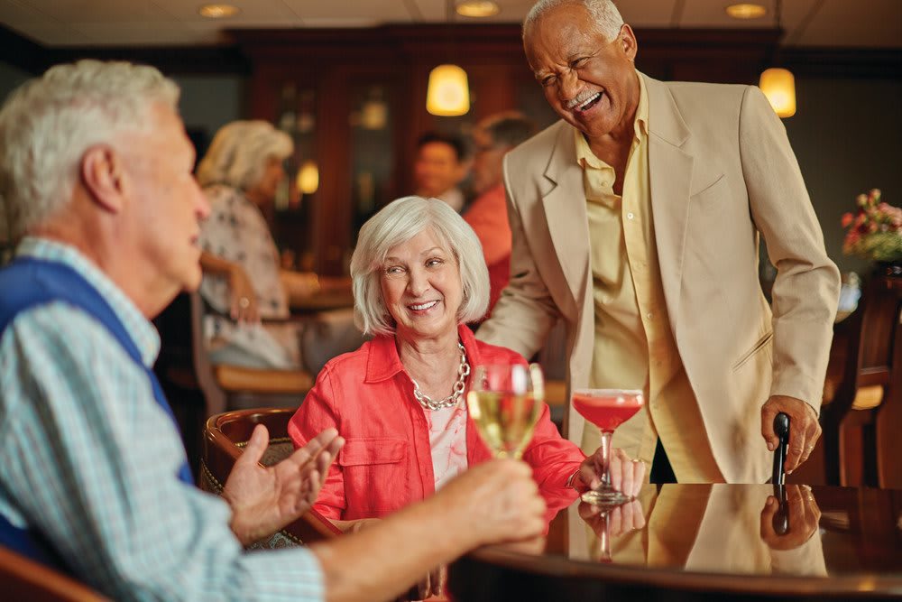 Vi at Lakeside Village,  a CCRC