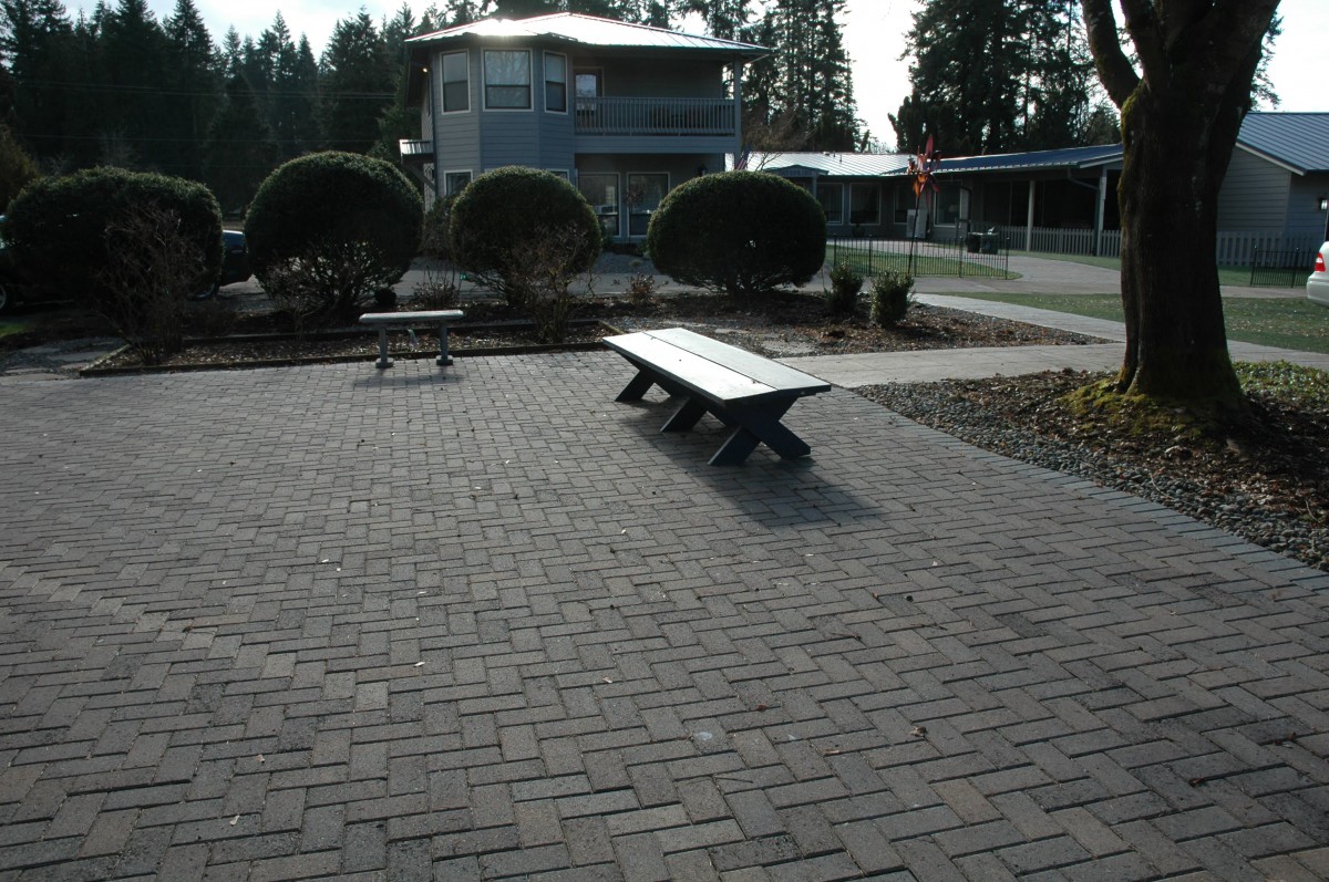 A tranquil outdoor space featuring a bench on a paved area, surrounded by neatly trimmed trees and a building in the background.