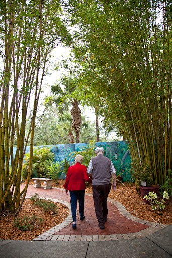 A couple strolling hand in hand through a serene bamboo garden.