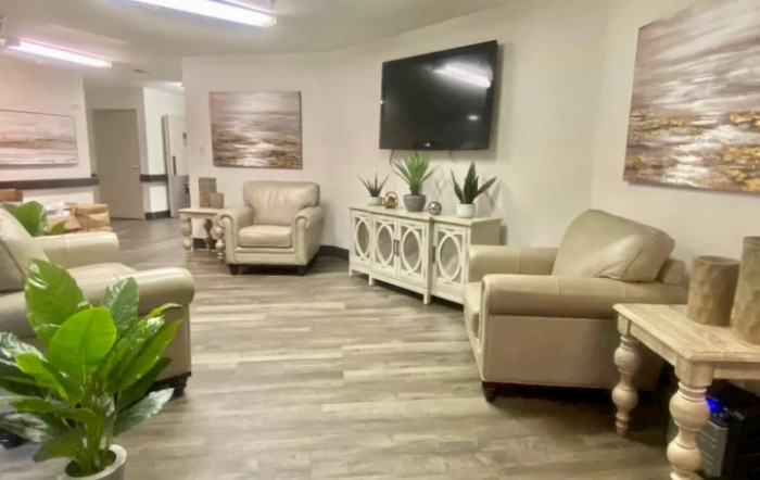 A cozy living room with armchairs, a large TV, and decorative plants.