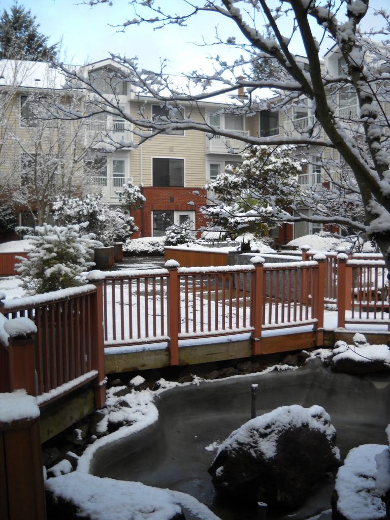 A snowy garden with a wooden bridge in a residential area.