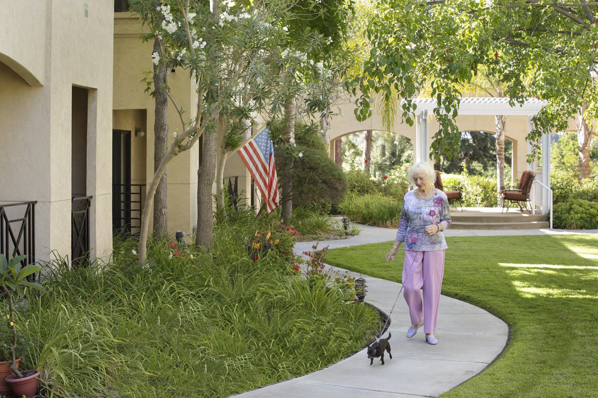 A woman walking her dog along a tree-lined sidewalk beside a building with an American flag.