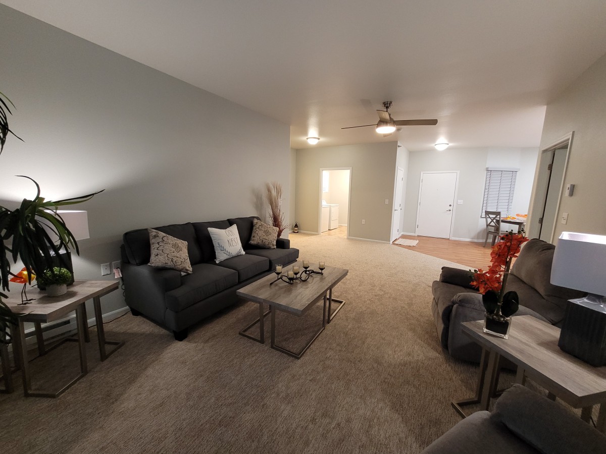 A modern living room features a comfortable sofa, coffee table, and ceiling fan.
