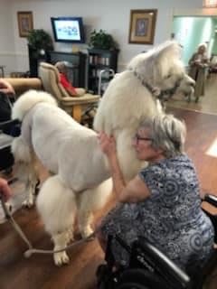 An elderly woman embraces a large fluffy dog indoors.