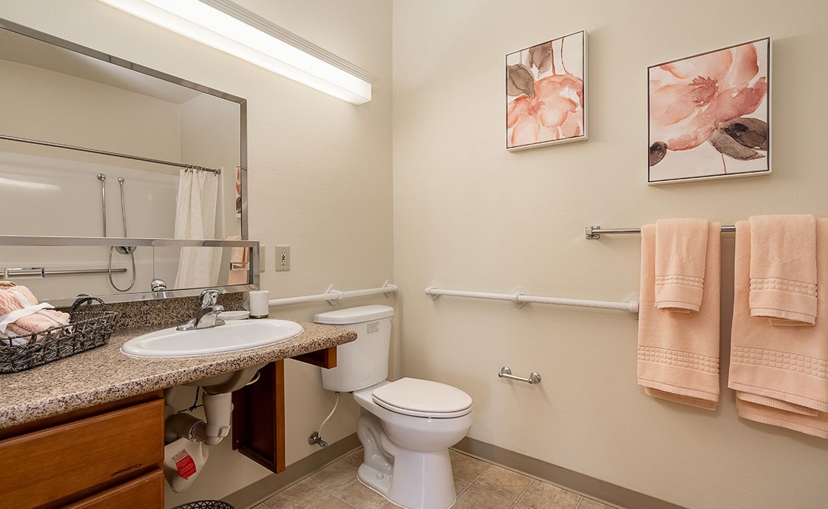A well-lit bathroom with a sink, toilet, and handrails for accessibility.