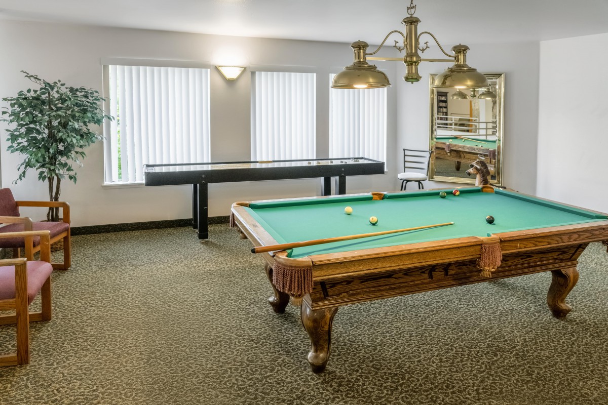 A well-lit game room featuring a classic pool table and a shuffleboard table.