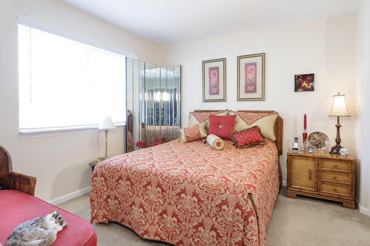 A cozy bedroom with patterned bedding, wall art, and a mirrored closet.