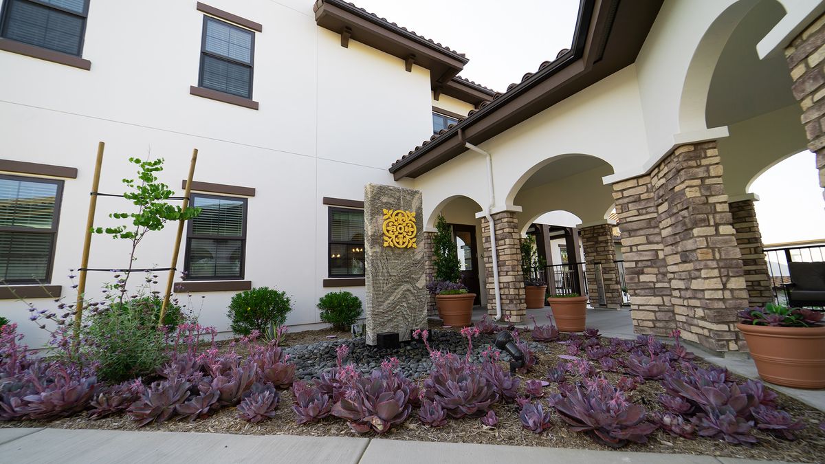 A modern house facade with a landscaped garden and arched entryway.