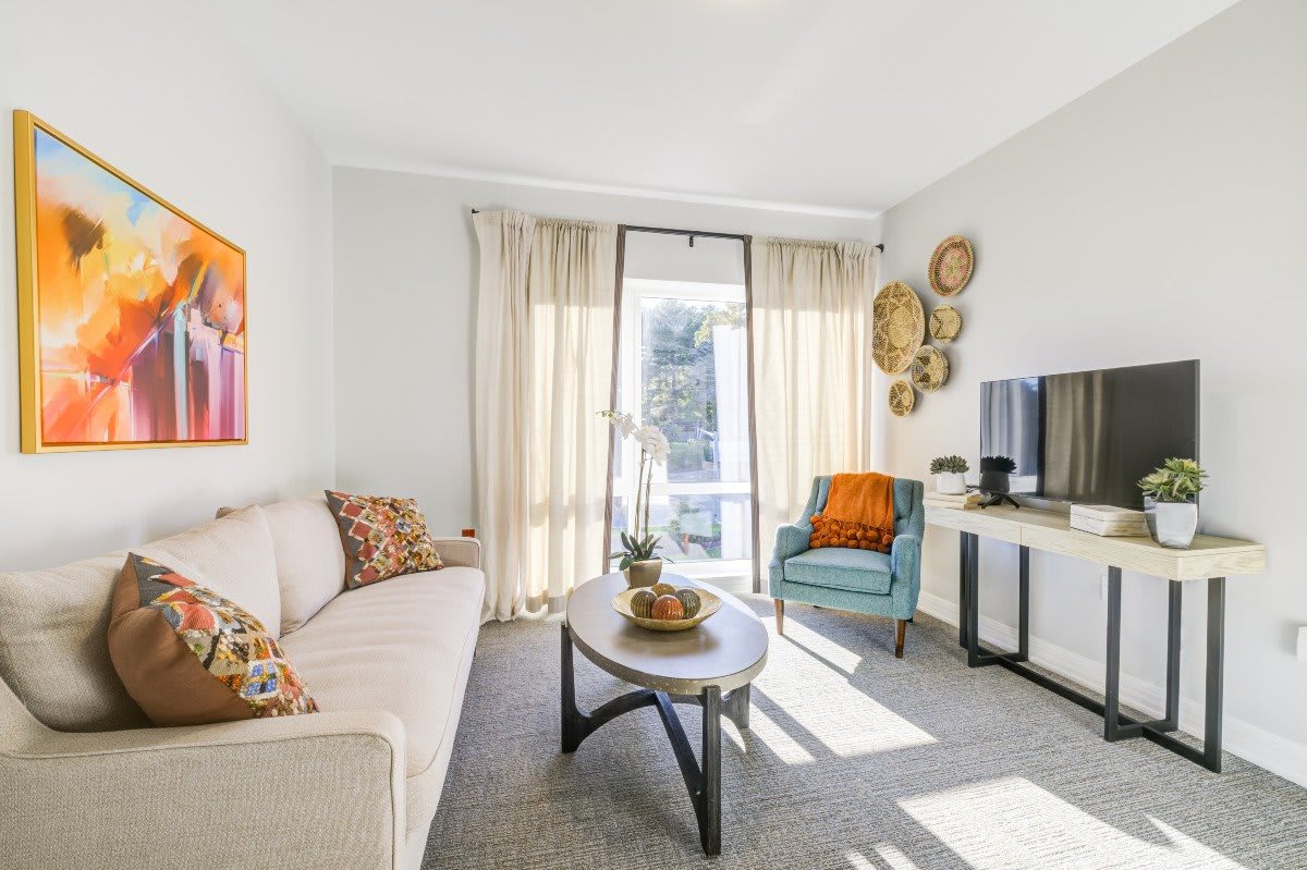 A modern living room with a sofa, armchair, coffee table, and television, illuminated by natural light from large windows.