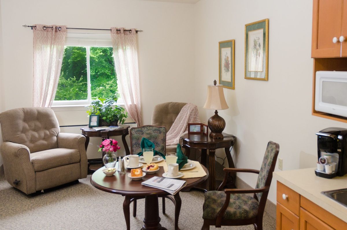A cozy living room with a small table set for tea, surrounded by chairs and adorned with plants and decor.