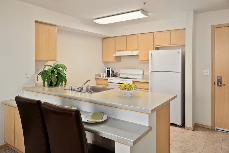 Modern kitchen interior with light wood cabinetry and a central countertop.
