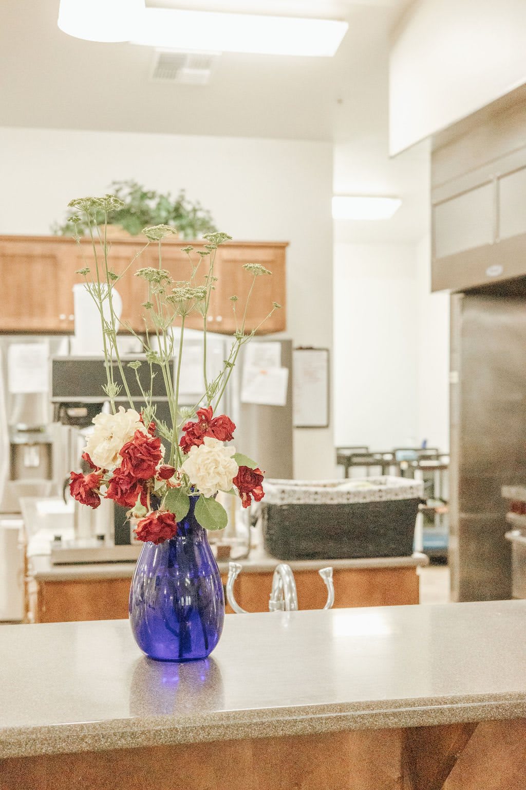 A kitchen interior featuring a blue vase with red and white flowers on a countertop.