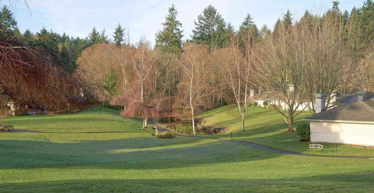A serene view of a park with trees and lush green grass under sunlight.