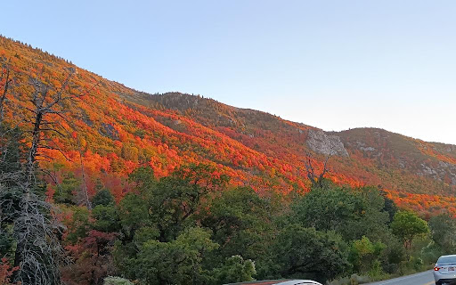 A stunning view of mountains adorned with vibrant autumn foliage.