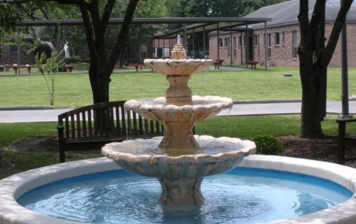 St Dominic Village Nursing Home