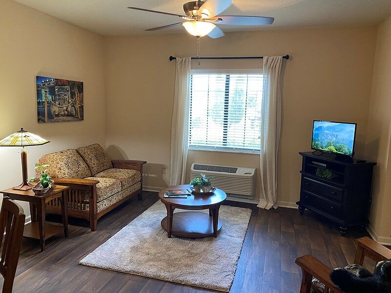 A cozy living room featuring a sofa, coffee table, and television, with natural light streaming through the window.