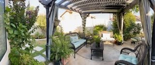 A cozy patio with a pergola, adorned with plants and comfortable seating arrangements.