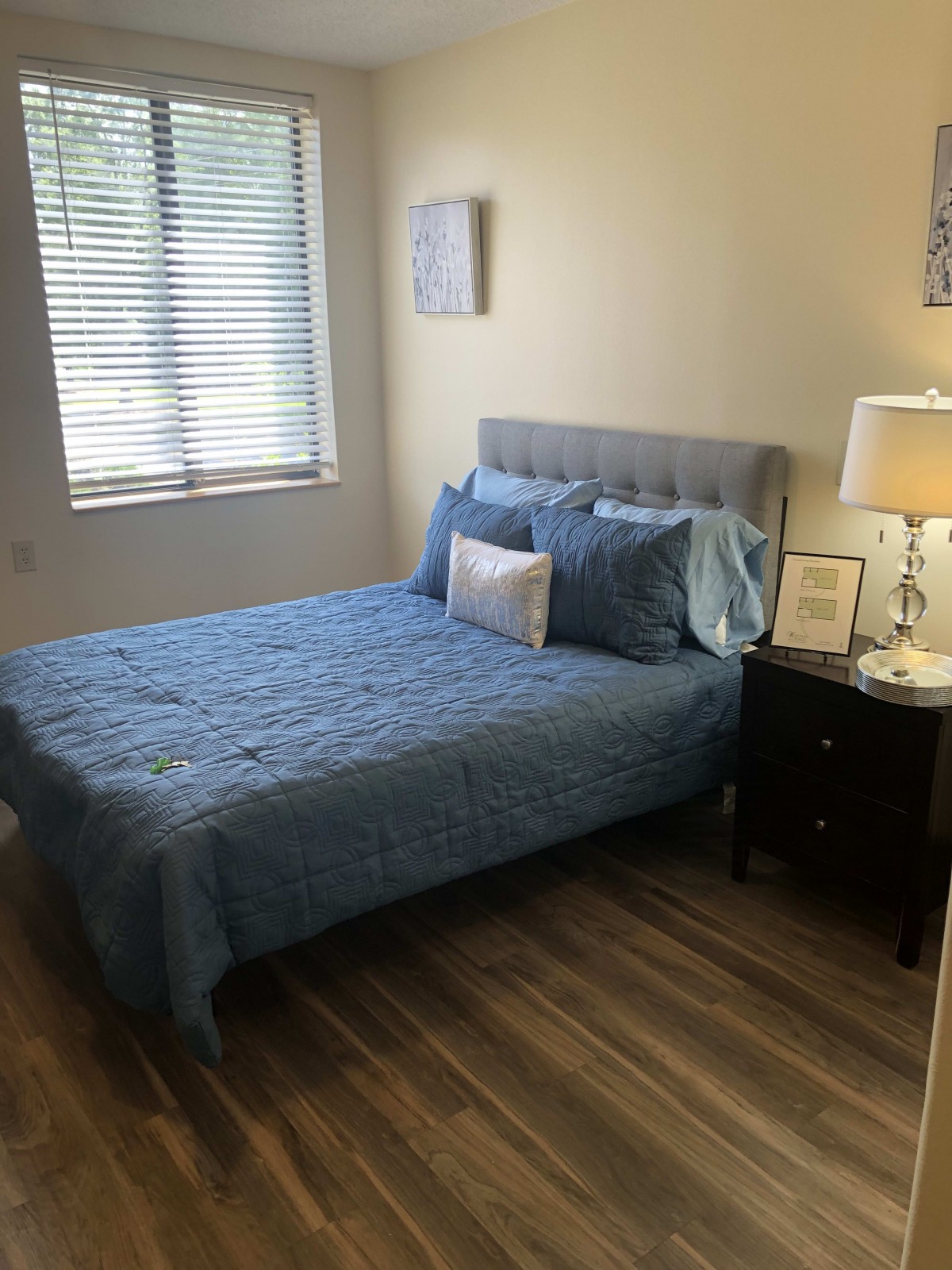 A neatly arranged bedroom with a blue bedspread and a bedside lamp.