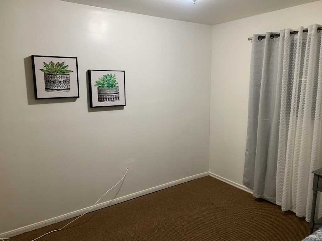 A minimalist room with framed plant artwork and gray curtains.