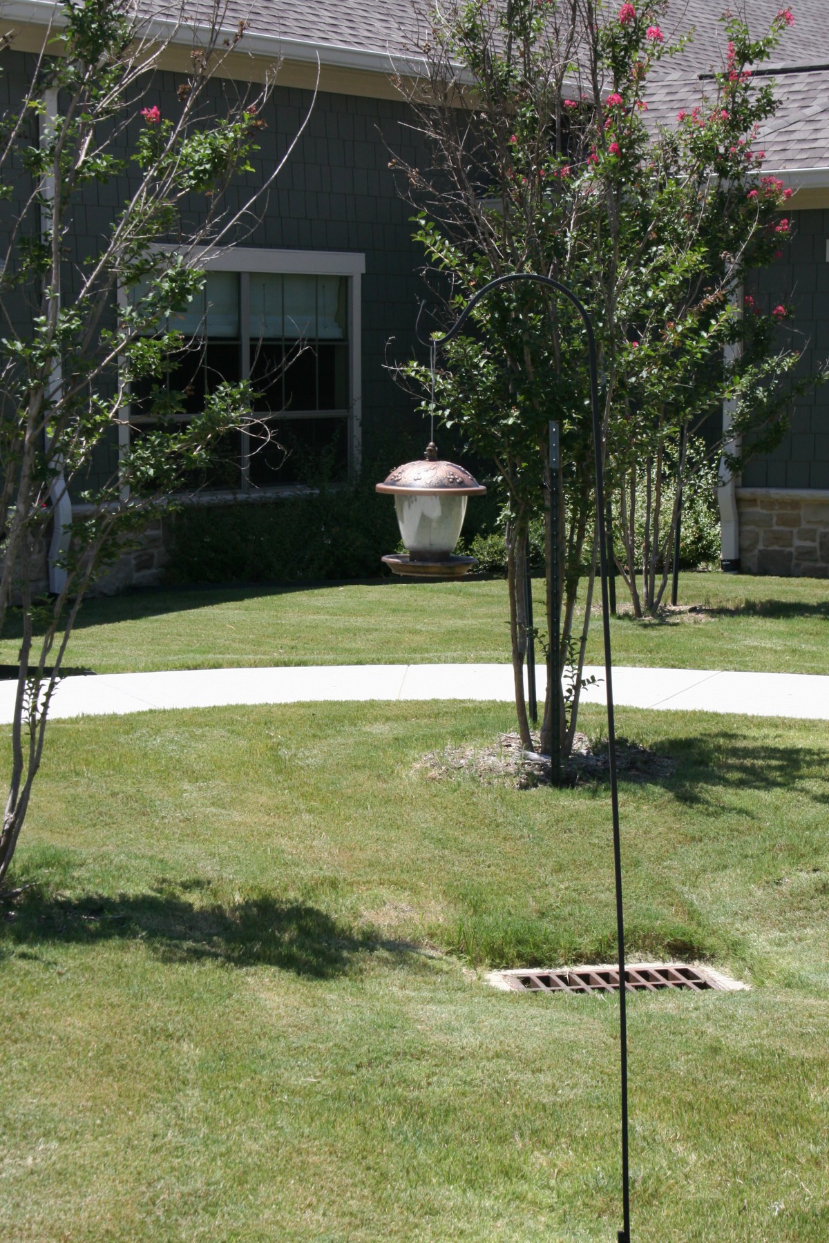 A well-maintained lawn with trees, a walkway, and a house in the background.