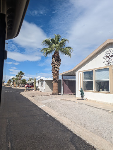 A sunny day in a quiet residential neighborhood with palm trees and clear skies.