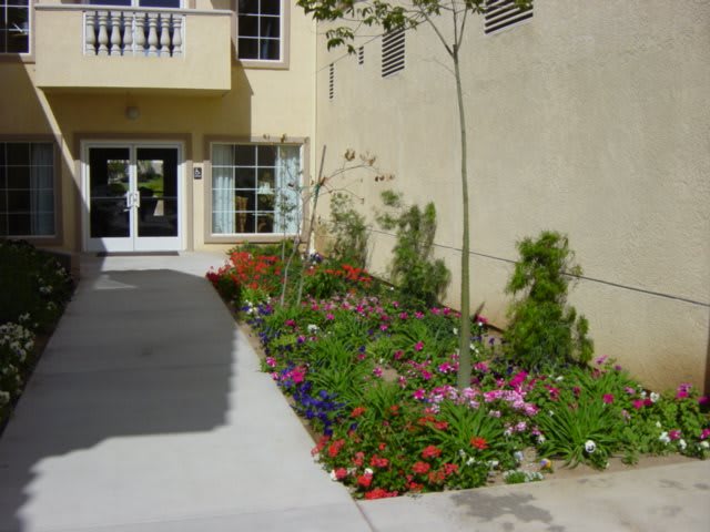 Wildomar Senior Assisted Living