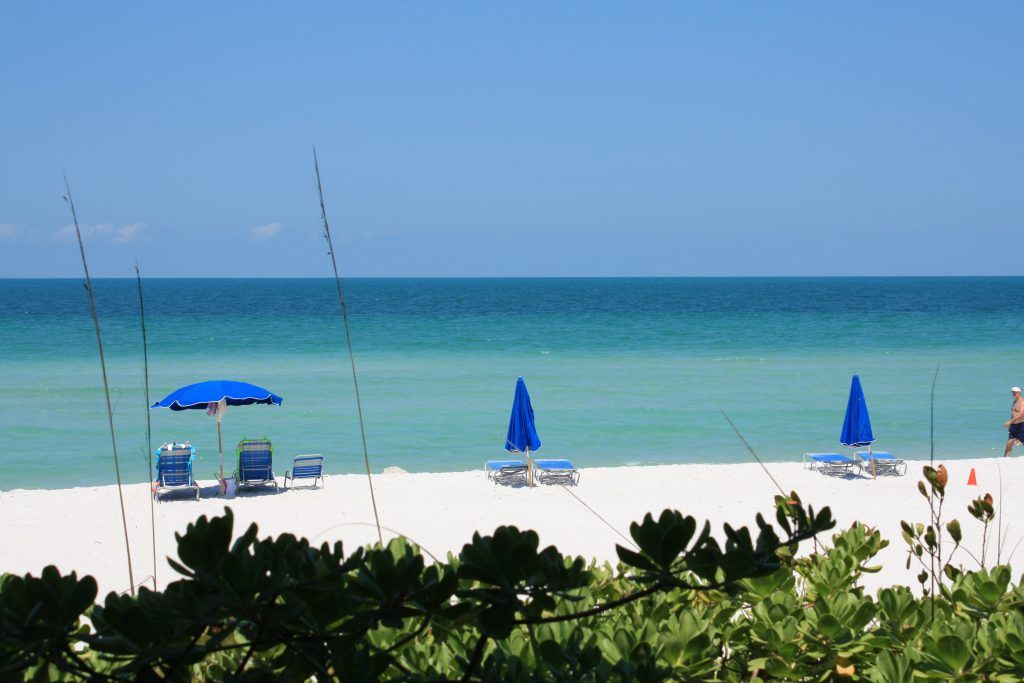 A tranquil beach scene with blue umbrellas and chairs overlooking a calm ocean.