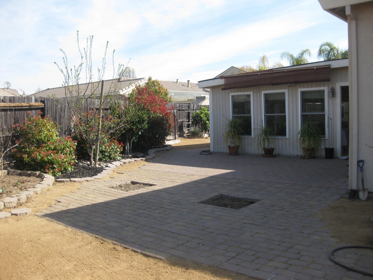 A backyard with a paved area and various plants and trees surrounding a house.