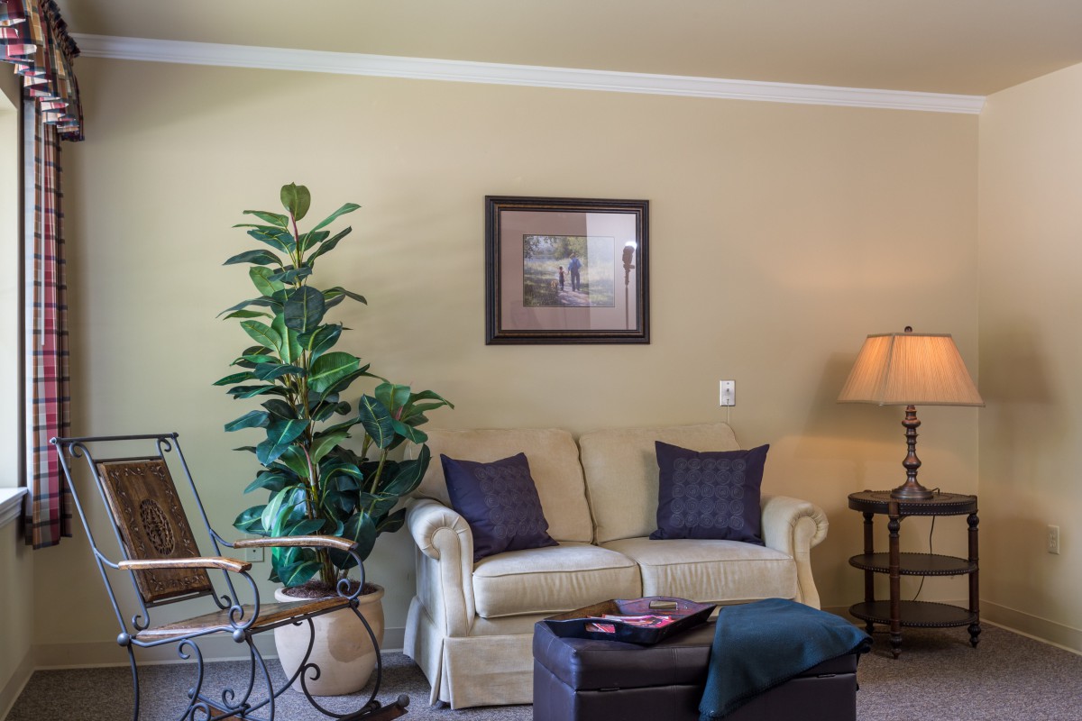 A cozy living room with a sofa, indoor plant, and framed artwork on the wall.