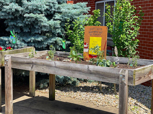 A sunny garden with a raised bed showcasing various plants.