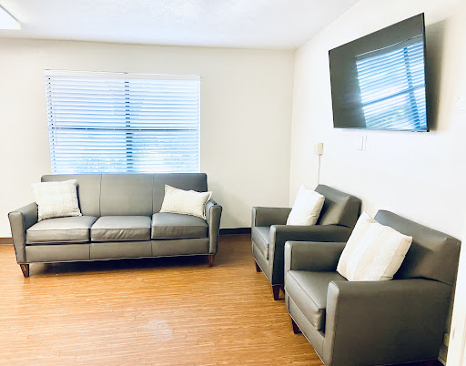 A contemporary living room featuring a gray sofa and armchairs, illuminated by natural light through the window.