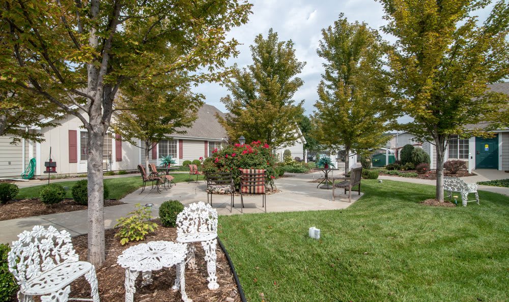 A serene garden with trees, outdoor seating, and a well-maintained lawn in a residential area.