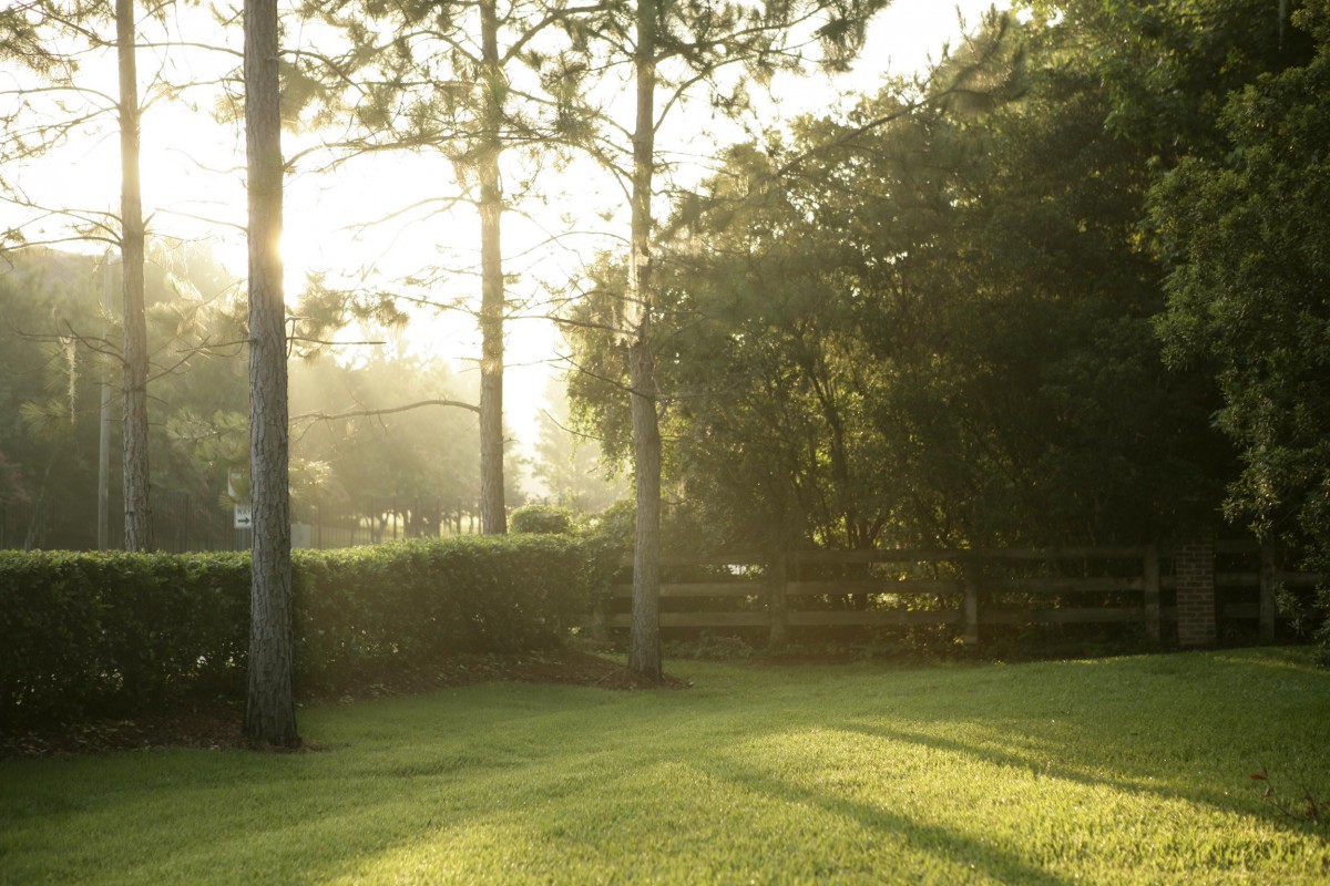HarborChase of Gainesville,  an ECC licensed Community