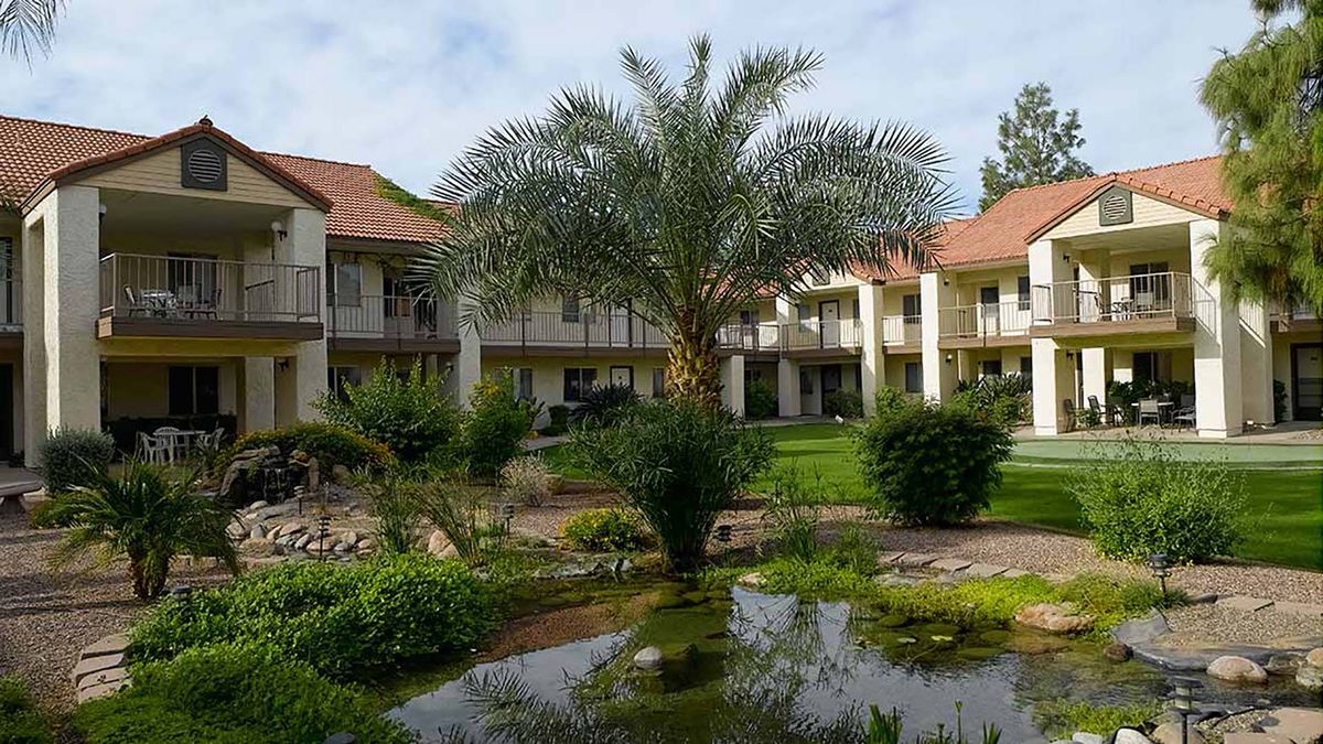 A serene courtyard featuring a palm tree, a pond, and surrounding garden within a residential building complex.