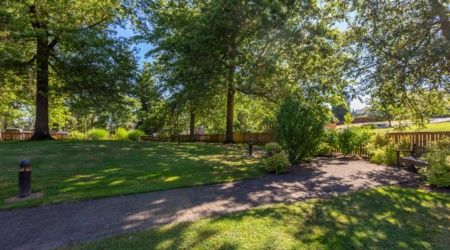 A serene garden with lush greenery and dappled sunlight.