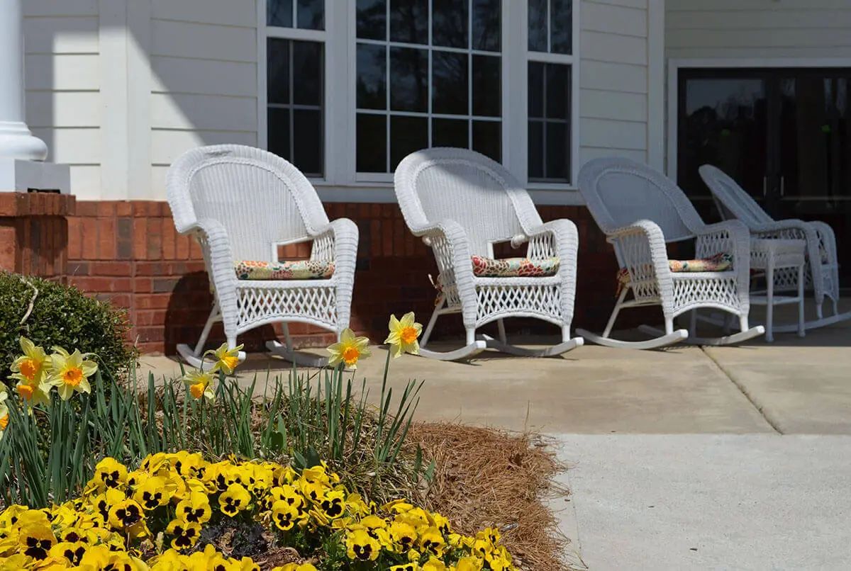 Outdoor patio with wicker chairs and vibrant yellow flowers.