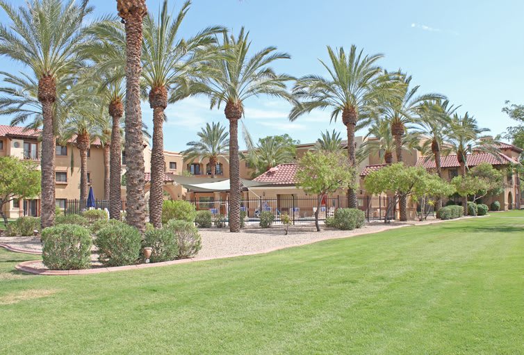 A scenic view of palm trees aligned along a grassy lawn with buildings in the background under a clear sky.