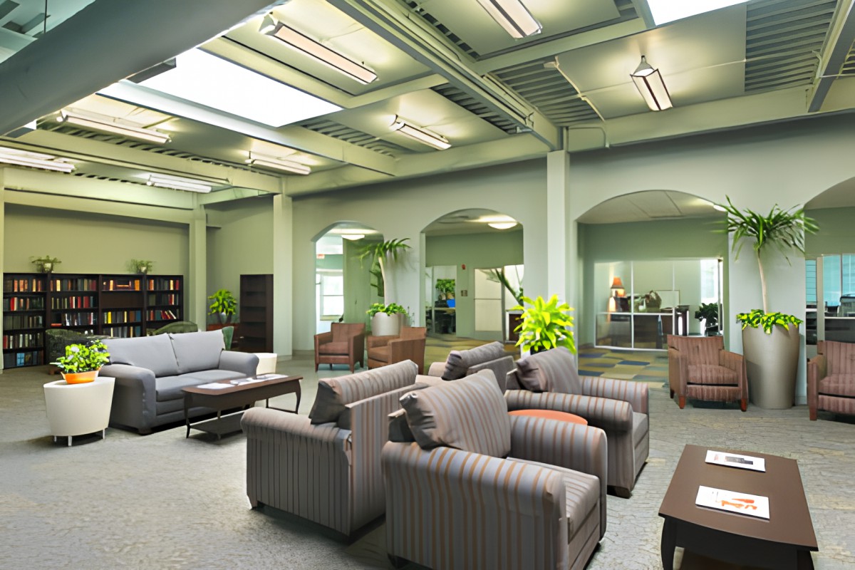 A modern office lounge area with comfortable seating and greenery.