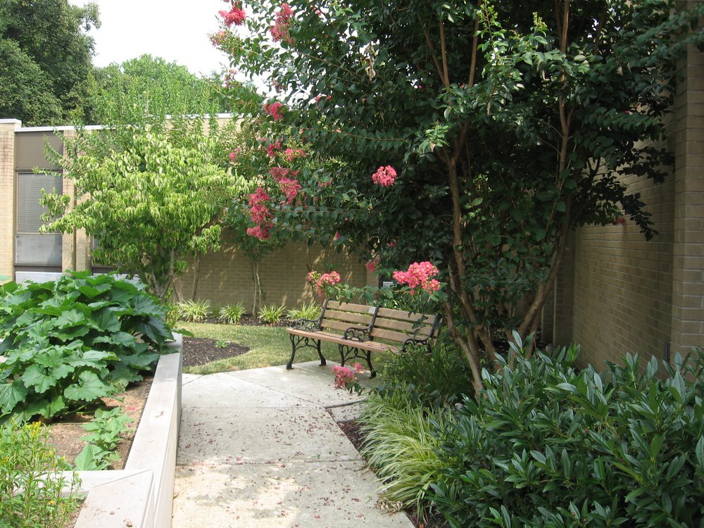 A serene garden with a wooden bench, surrounded by greenery and blooming flowers.