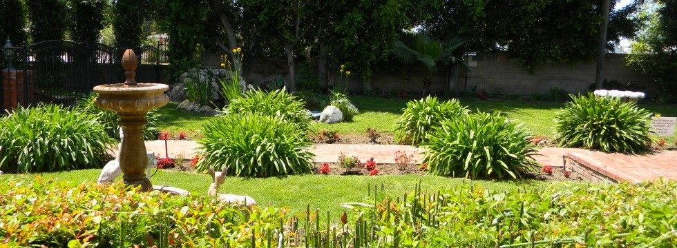 A lush garden with a variety of plants and a well-maintained lawn.