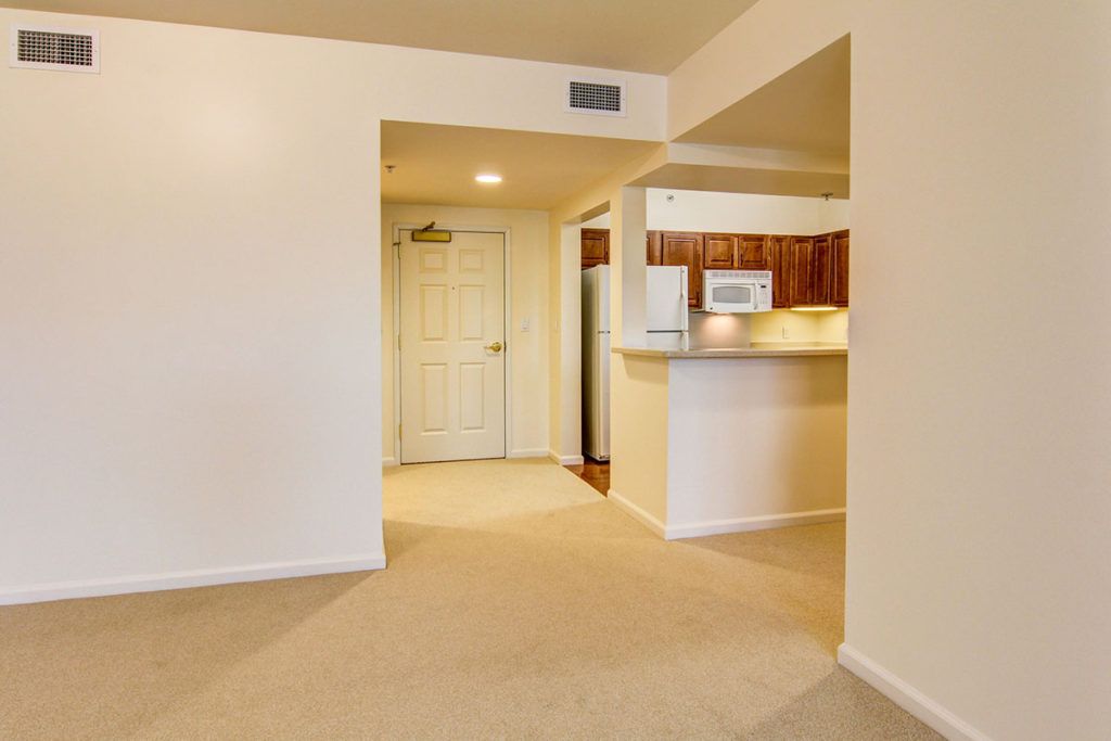 An open-concept apartment with a view of the kitchen and living area.