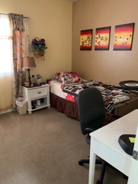 A cozy bedroom with a single bed, desk, and decorative artwork on the wall.