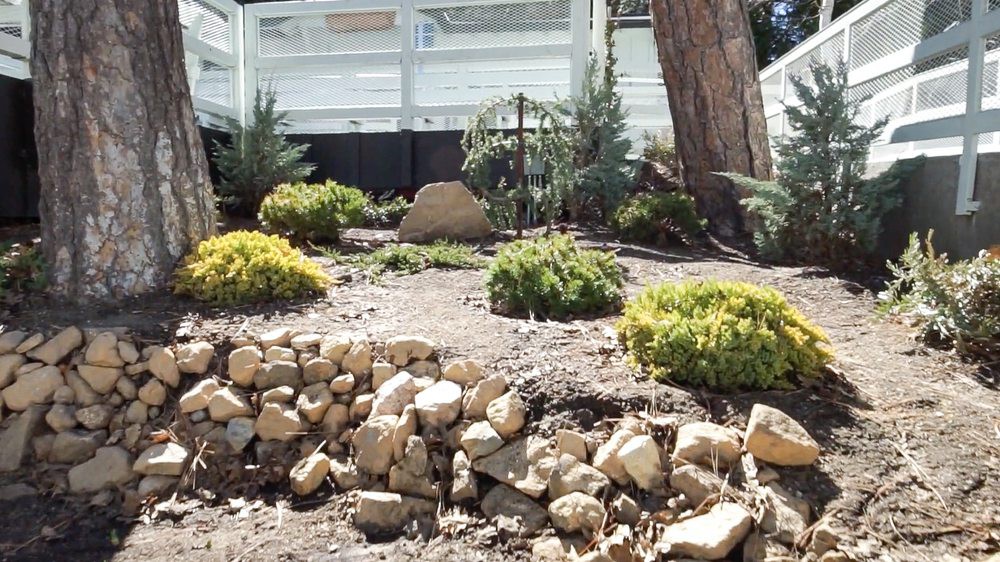 A landscaped garden featuring rocks and various plants in front of a building.