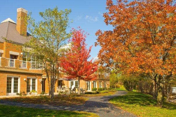 Peace Village