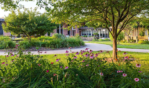 A tranquil garden scene featuring vibrant flowers, lush greenery, and a winding pathway leading to a modern building.