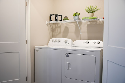 A tidy laundry room featuring a washer and dryer, complemented by decorative plants on shelves.