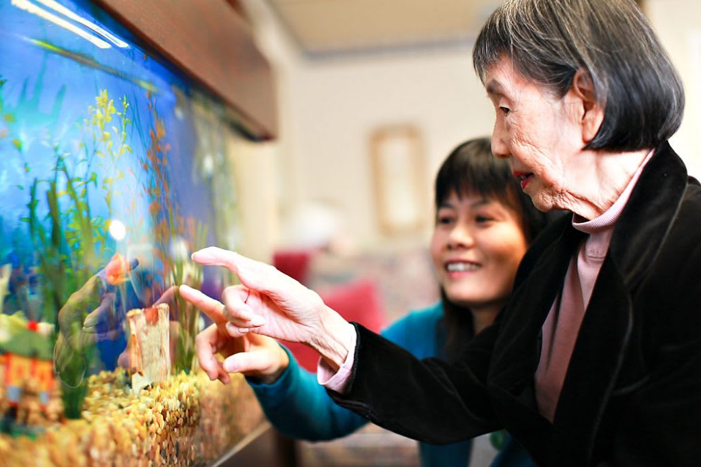An elderly woman and a young woman interacting by a fish tank.
