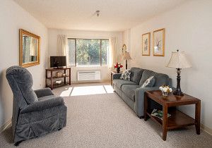 A cozy living room with a comfortable sofa, armchair, and a window letting in natural light.