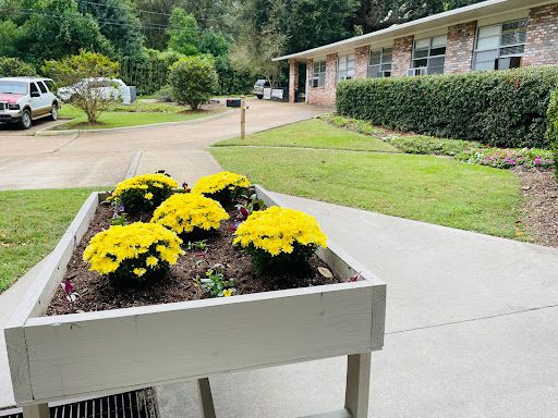 A vibrant display of yellow flowers in a garden bed, complementing the greenery and home in the background.