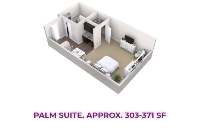 3D rendering of a compact studio apartment floor plan, labeled as the Palm Suite with an approximate area of 303-371 square feet.